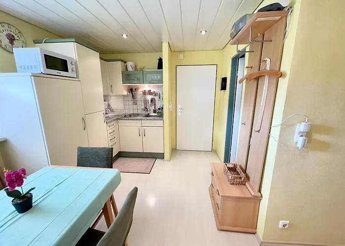 Singer Apartamento *